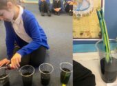 Science with Willow Class 🌱