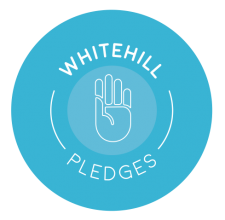 BW Pledge Logo (Small)